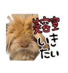 あにまるすたんぷ①（個別スタンプ：9）