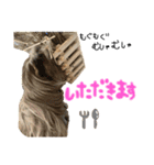 あにまるすたんぷ①（個別スタンプ：19）