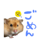 あにまるすたんぷ①（個別スタンプ：24）