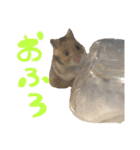 あにまるすたんぷ①（個別スタンプ：26）