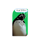 じょん子＆じょにー（個別スタンプ：28）