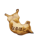 豆柴のさくら（個別スタンプ：15）