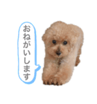 とわとななの気持ち（個別スタンプ：2）
