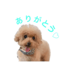 とわとななの気持ち（個別スタンプ：3）