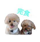 とわとななの気持ち（個別スタンプ：6）