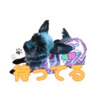 うちの子かわいすぎ（個別スタンプ：12）
