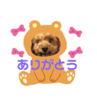 愛しのチー（個別スタンプ：1）