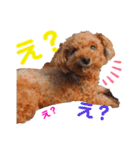 愛しのチー（個別スタンプ：13）
