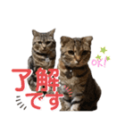 CATS. げんとコスモ2（個別スタンプ：2）