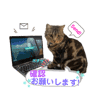 CATS. げんとコスモ2（個別スタンプ：21）