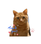 ビビとジャックとくるん（個別スタンプ：4）