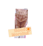 ビビとジャックとくるん（個別スタンプ：6）