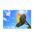 lilyのpictureスタンプ（個別スタンプ：4）