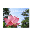 lilyのpictureスタンプ（個別スタンプ：14）