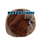 fcnfcn（個別スタンプ：1）