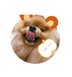 るるちゃんず（個別スタンプ：1）