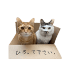 ルーシーとぽてと。（個別スタンプ：6）