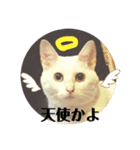 白猫のメリーさん part4（個別スタンプ：15）