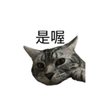 ........！（個別スタンプ：3）