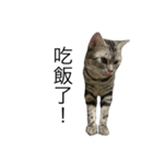 ........！（個別スタンプ：5）