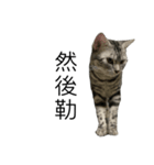 ........！（個別スタンプ：6）