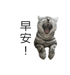 ........！（個別スタンプ：8）