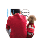 Momiji＆Tomato STAMP（個別スタンプ：7）