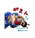 Momiji＆Tomato STAMP（個別スタンプ：26）
