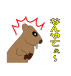 どうぶつのほのぼのスタンプ（個別スタンプ：24）