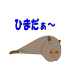 どうぶつのほのぼのスタンプ（個別スタンプ：38）