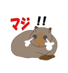 どうぶつのほのぼのスタンプ（個別スタンプ：40）