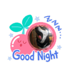 黒柴むぎ（個別スタンプ：1）