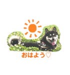 黒柴むぎ（個別スタンプ：15）