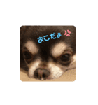 ぁらら❨3❩（個別スタンプ：2）