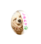 ぁらら❨3❩（個別スタンプ：4）