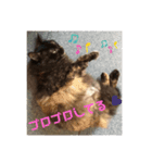 ぁらら❨3❩（個別スタンプ：5）