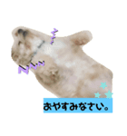 ぁらら❨3❩（個別スタンプ：6）