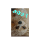 ぁらら❨3❩（個別スタンプ：7）