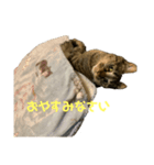 あみかちゃん①（個別スタンプ：1）