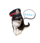 にゃーちゃんの日常 癒し（個別スタンプ：7）