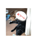 太郎'S2（個別スタンプ：2）