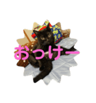 さくちゃんのスタンプ☆（個別スタンプ：2）