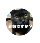 さくちゃんのスタンプ☆（個別スタンプ：4）