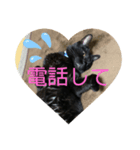 さくちゃんのスタンプ☆（個別スタンプ：7）