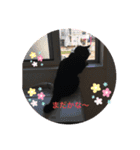 黒猫ゴマ（個別スタンプ：4）