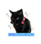 黒猫ゴマ（個別スタンプ：6）