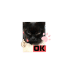 黒猫ゴマ（個別スタンプ：12）