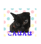 黒猫ゴマ（個別スタンプ：15）