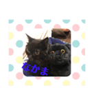 黒猫ゴマ（個別スタンプ：18）
