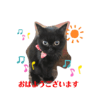 黒猫ゴマ（個別スタンプ：19）